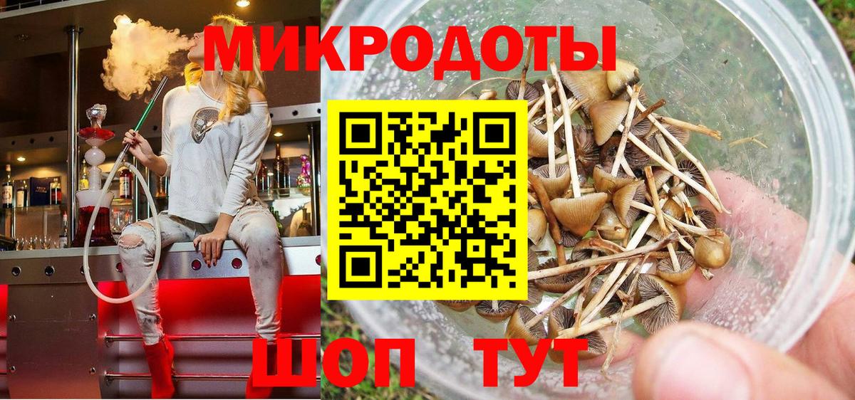 Псилоцибиновые грибы Psilocybine cubensis Феодосия
